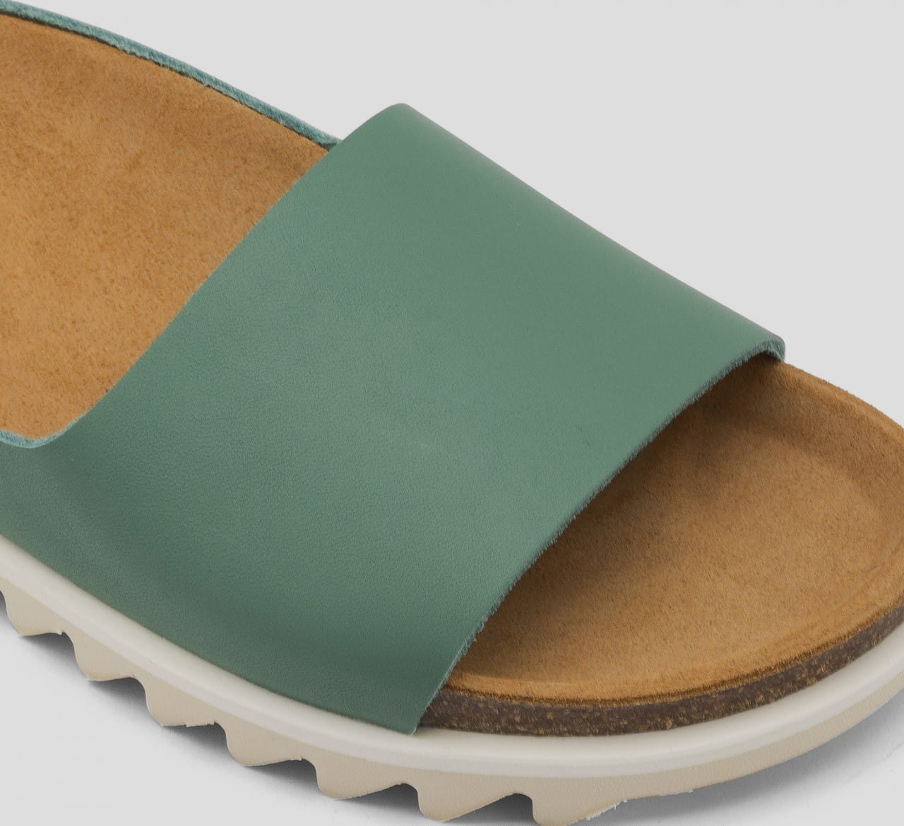 Palm Sandal Alga
