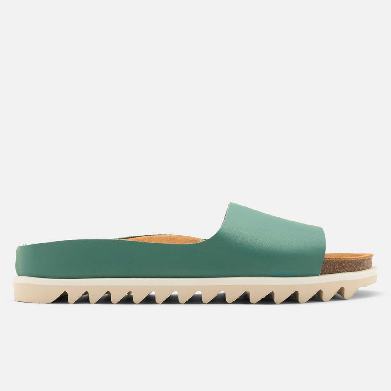 Palm Sandal Alga