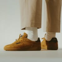 Tsuga Beige