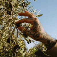 Olivenöl von holylittlefatboy 250ml