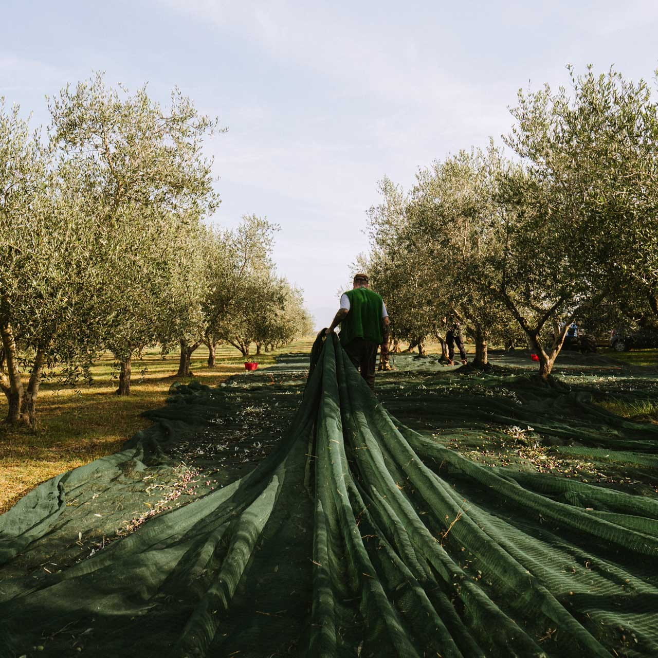 Olivenöl von holylittlefatboy 250ml