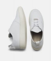 Argan Low Sutri / Blizzard