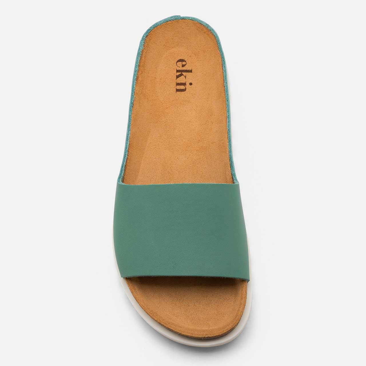 Palm Sandal Alga