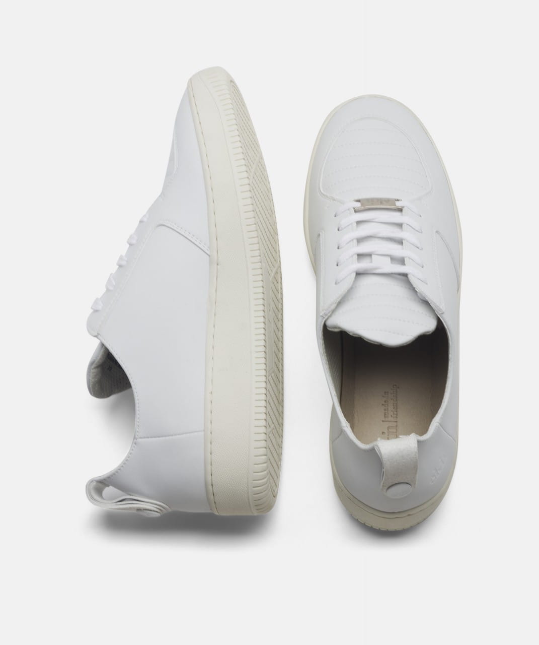 Argan Low Sutri / Blizzard